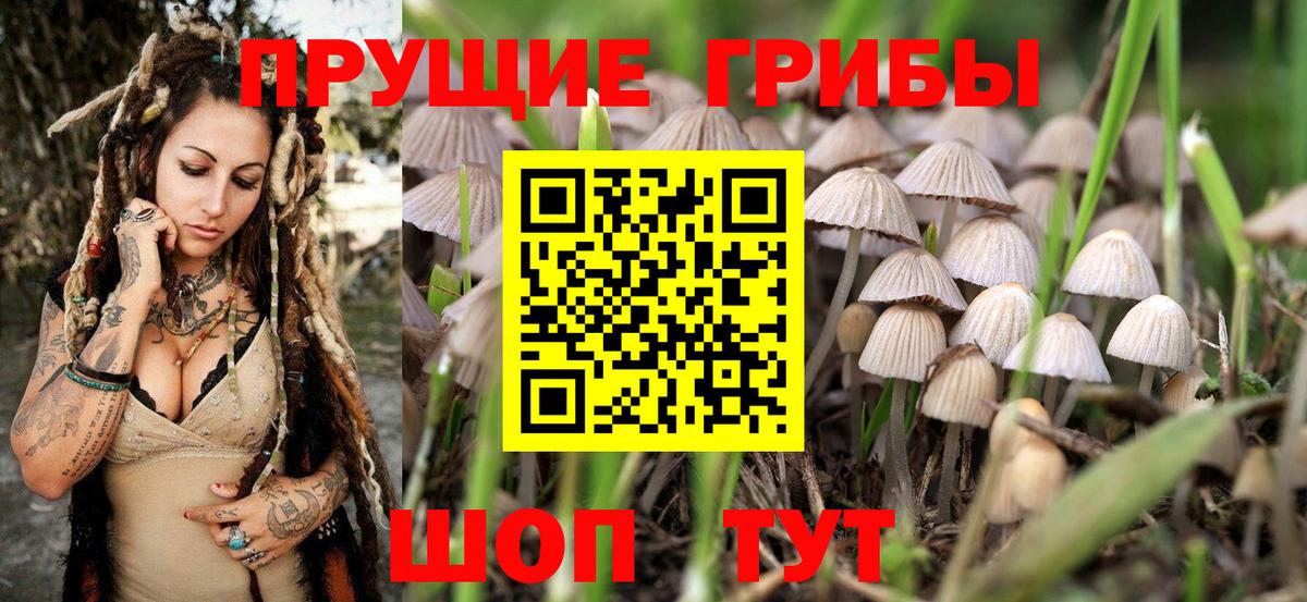 Псилоцибиновые грибы Magic Shrooms Нефтеюганск