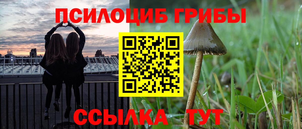 Галлюциногенные грибы прущие грибы  Галлюциногенные грибы GOLDEN TEACHER  Нефтеюганск  Вход с VPN 